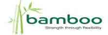 Bamboo Medical Communications - Top Veeva Service Companies in UK Bamboo Medical Communications