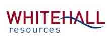 Whitehall Resources - Top Veeva Service Companies in UK Whitehall Resources